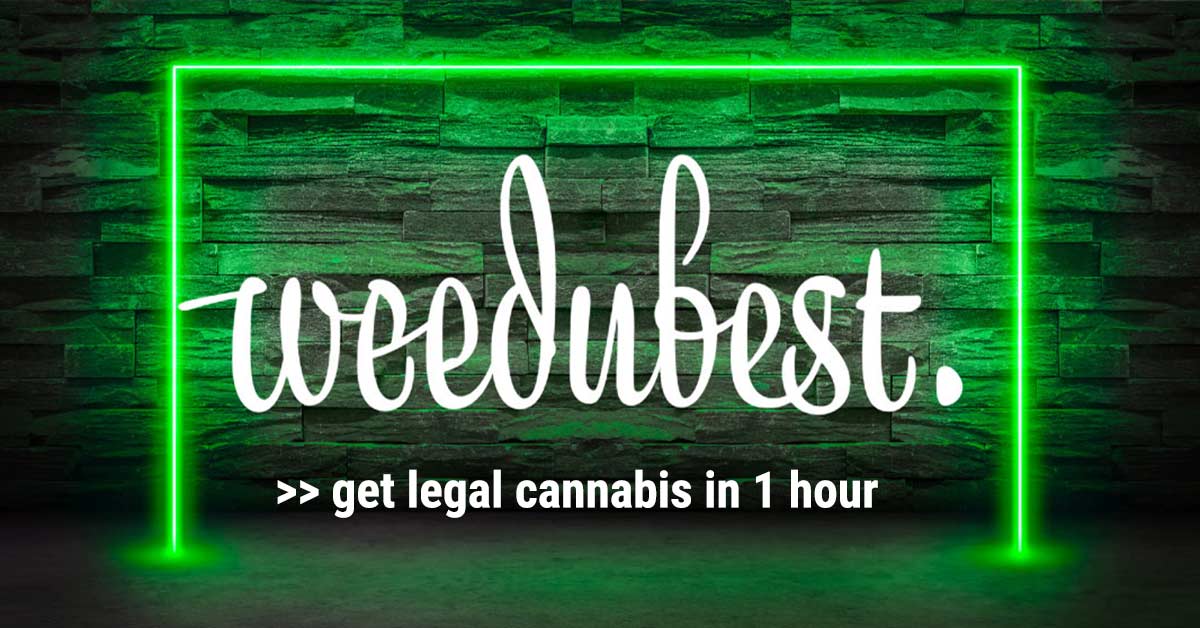 cannabis-dispensary-delivery-nyc-weed-CBD-one-hour-weedubest