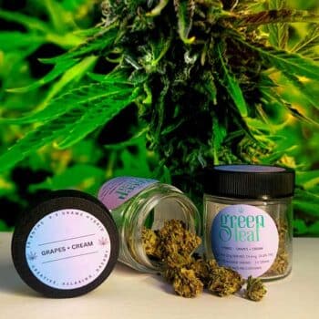 Grapes-and-cream-Green-Leaf-Cannabis