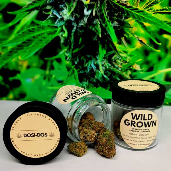 Do Si Do Green Leaf Cannabis