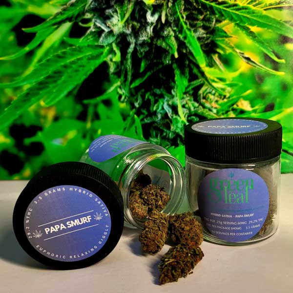 Papa Smurf Green Leaf Cannabis